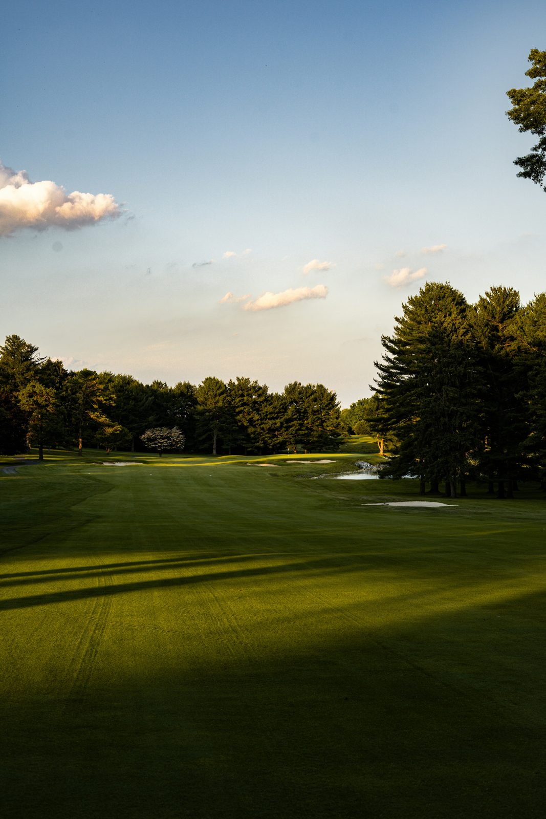 A tree-lined Oak Crest fairway glowing at golden hour