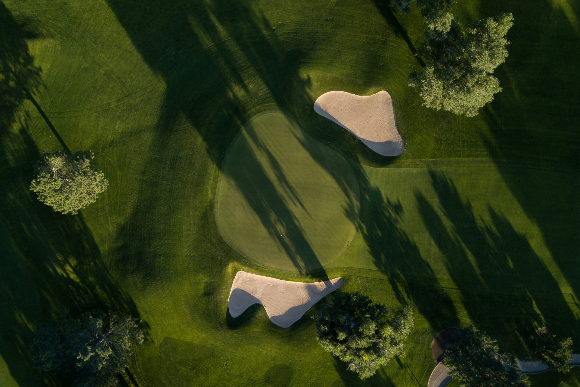 Sun and shadow across an Oak Crest green