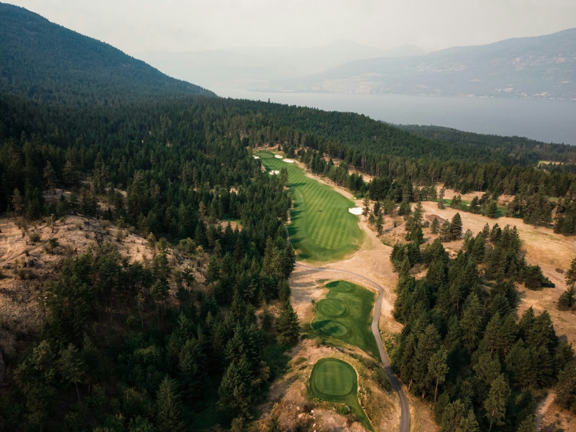 Forest-lined fairway at Oak Crest