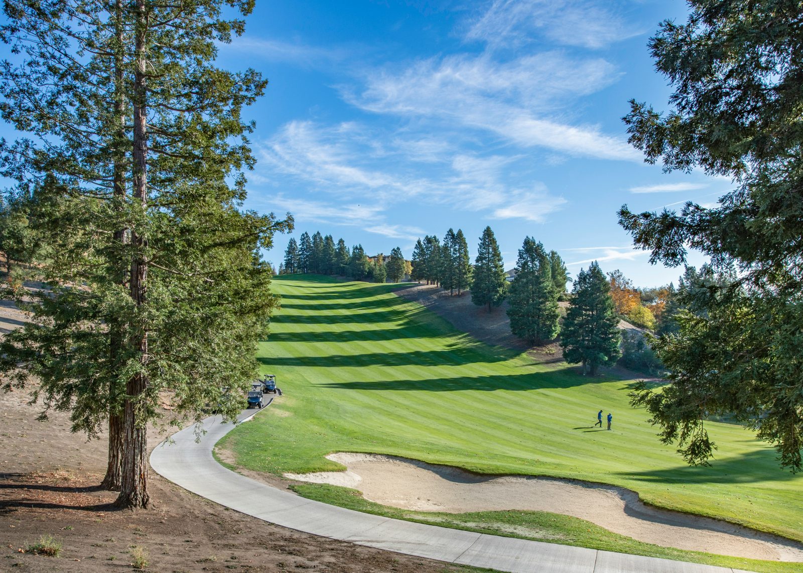 An uphill fairway lined with pines and bunkers at Oak Crest