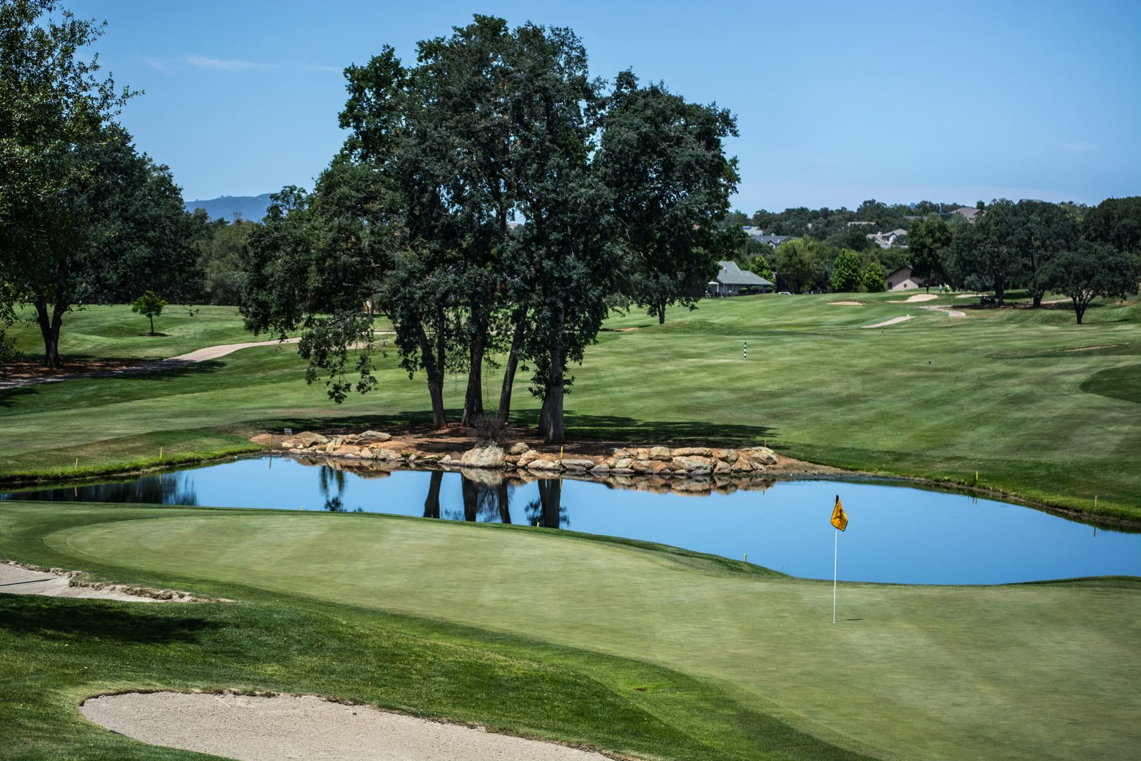 A mature oak shading a pond beside a manicured green at Oak Crest