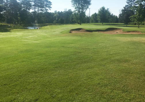 Hole 16 - Cattail - Oak Crest Golf Course