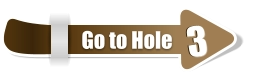 3  3 Go to Hole