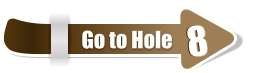 8  8 Go to Hole