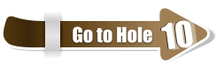 10  10 Go to Hole