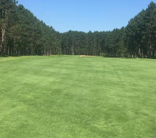 Hole 12 - Pine Alley - Oak Crest Golf Course
