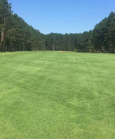 Hole 12 - Pine Alley - Oak Crest Golf Course