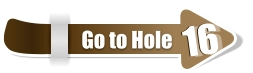 16  16 Go to Hole