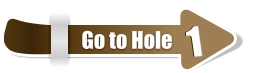 1  1 Go to Hole