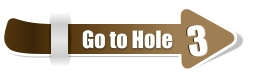 3  3 Go to Hole