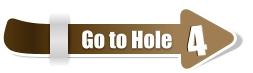 4  4 Go to Hole