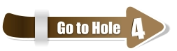 4  4 Go to Hole