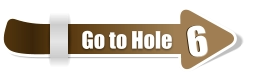 6  6 Go to Hole