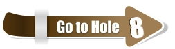 8  8 Go to Hole