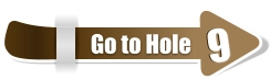 9  9 Go to Hole