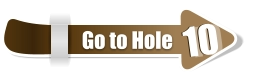 10  10 Go to Hole