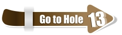 13  13 Go to Hole