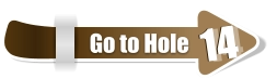 14  14 Go to Hole