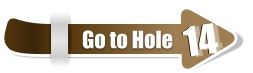 14  14 Go to Hole