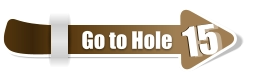 15  15 Go to Hole