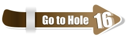 16  16 Go to Hole