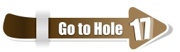 17  17 Go to Hole