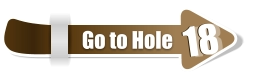 18  18 Go to Hole
