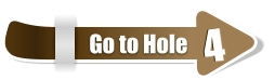 4  4 Go to Hole