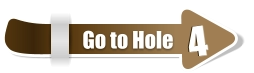 4  4 Go to Hole