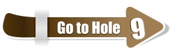 9  9 Go to Hole