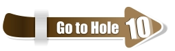 10  10 Go to Hole