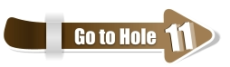 11  11 Go to Hole