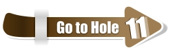 11  11 Go to Hole