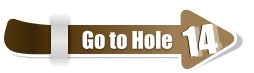 14  14 Go to Hole