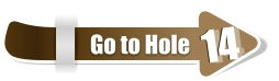 14  14 Go to Hole