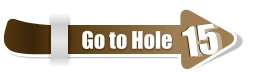 15  15 Go to Hole