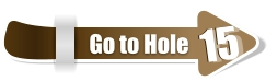 15  15 Go to Hole