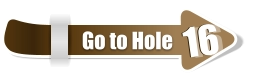 16  16 Go to Hole