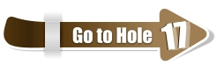 17  17 Go to Hole