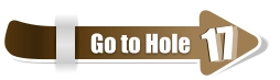 17  17 Go to Hole