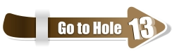 13  13 Go to Hole
